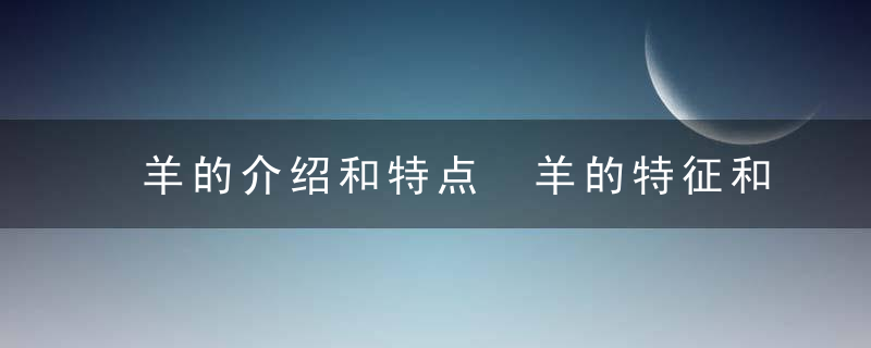 羊的介绍和特点 羊的特征和特点